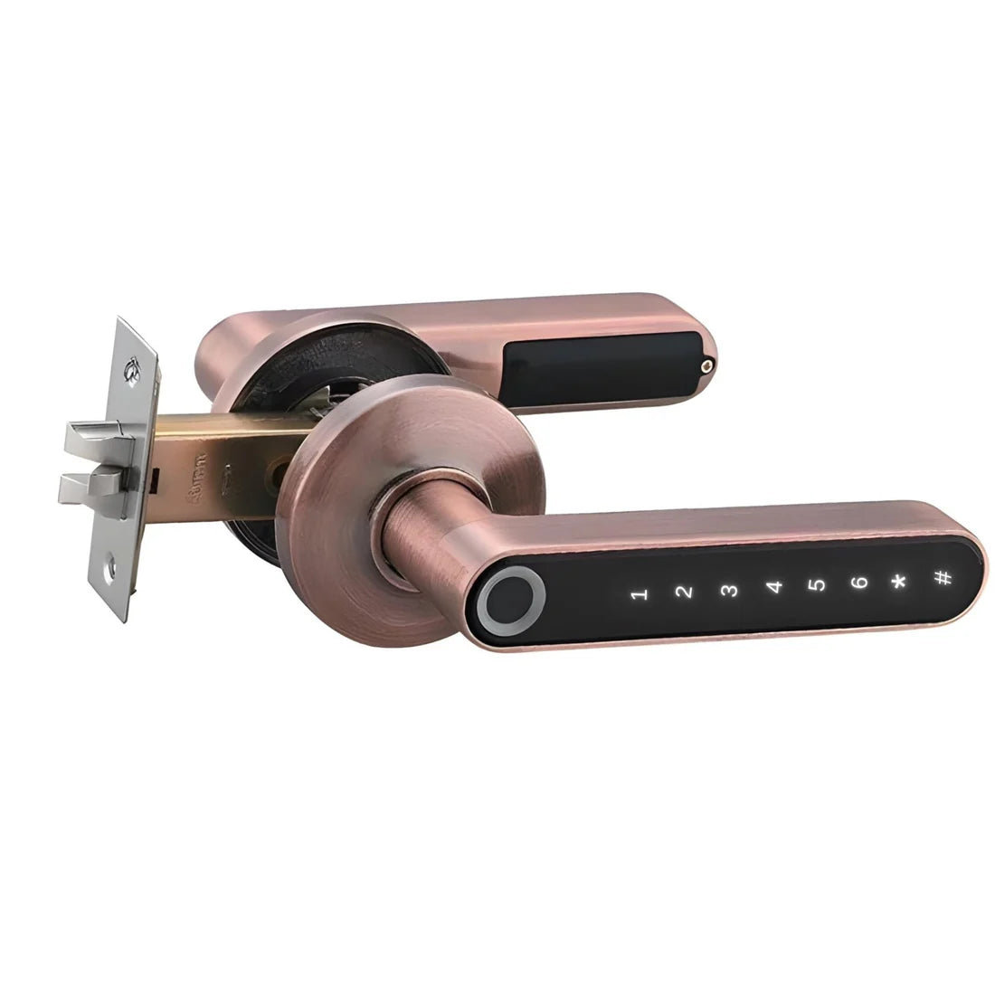 Fingerprint Smart Door Lock