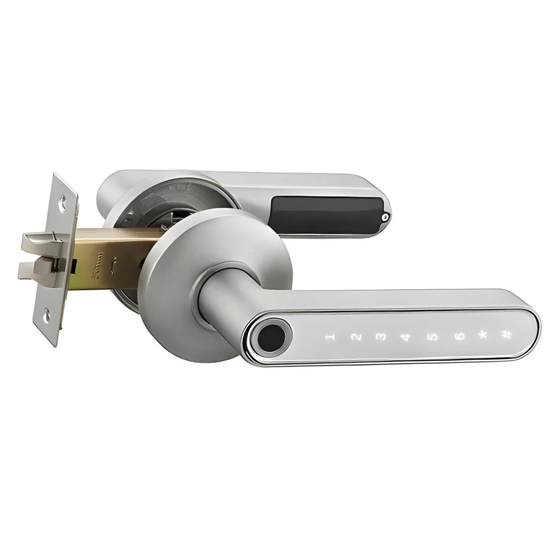 Fingerprint Smart Door Lock
