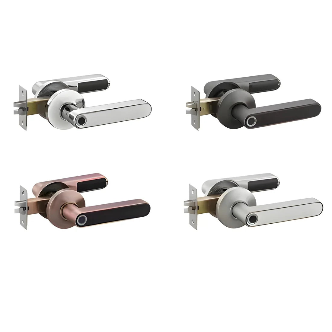 Fingerprint Smart Door Lock